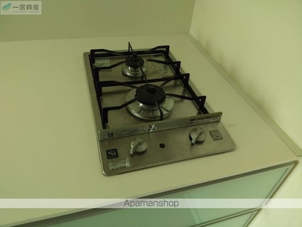 アイリッシュコート西石井[2LDK/51.03m2]の内装4