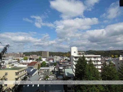 岩手県盛岡市中央通１丁目[1R/28m2]の眺望