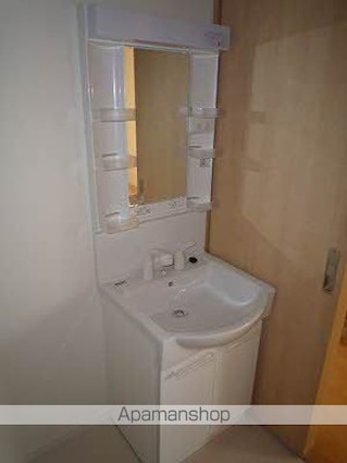 アラヴェール[1LDK/49.29m2]の洗面所