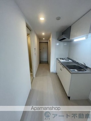 ルミナス雄郡[1K/28.96m2]の内装5