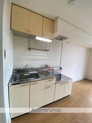 ラフィーネ　Ａ棟[2DK/45m2]のキッチン