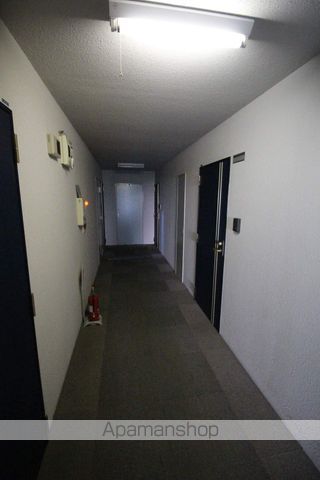 RTIIのその他写真