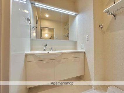 滋賀県東近江市五個荘竜田町[1LDK/40.3m2]の洗面所