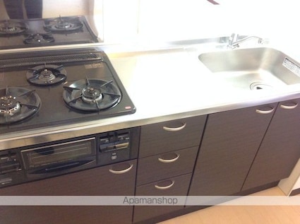 レオネクスト紫石[1K/40.99m2]のキッチン