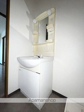 岡山県倉敷市児島宇野津[2DK/50.32m2]の洗面所