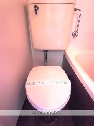 カリフォルニアリバー[1R/16.12m2]のトイレ