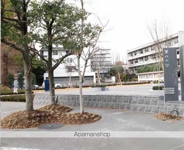 城壁のカメリアIの周辺写真