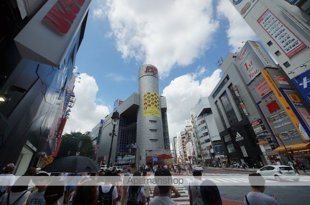 菱和パレス渋谷西壱番館の周辺写真