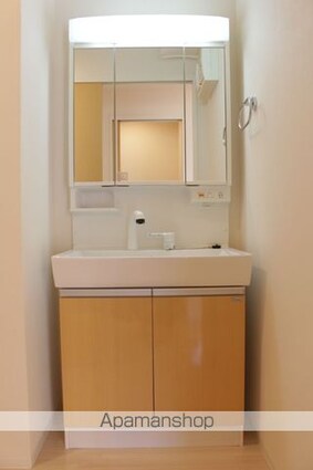 グランビスタ[1LDK/41.96m2]の洗面所