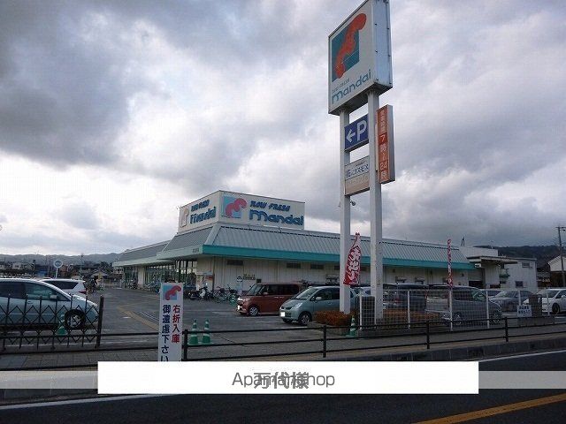 レイ・ミノールの周辺写真