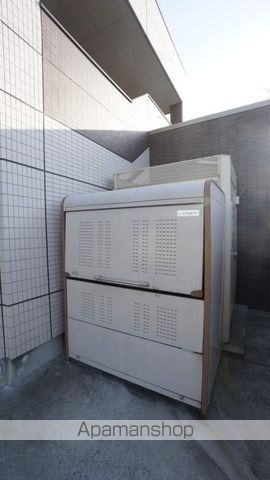 ショコラのその他写真