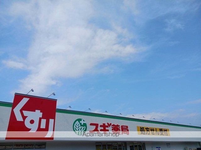 サウスフラワーIの周辺写真
