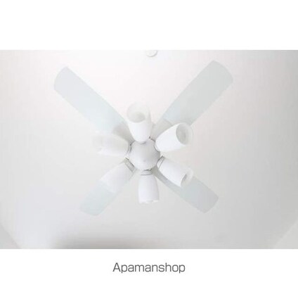 ラ・ネージュ河原町[1R/26.07m2]の内装9