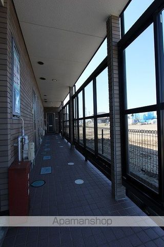ダンディピースのその他写真