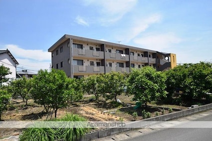 熊本県八代市海士江町[2LDK/61.92m2]の外観4