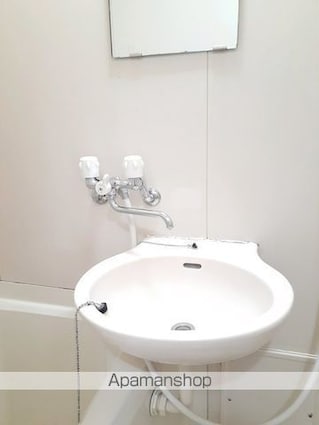 シティハイツ林[2DK/39.73m2]の洗面所