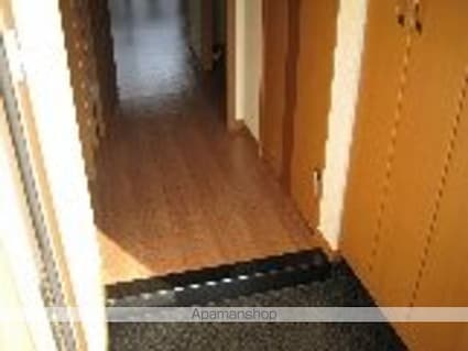 アウラ山手[1K/30m2]の玄関