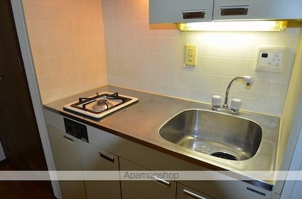 ダイアパレスステーションプラザ五橋[1K/24.75m2]のキッチン