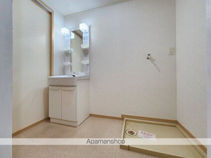 ハイツリュミエール[2LDK/63.63m2]の洗面所