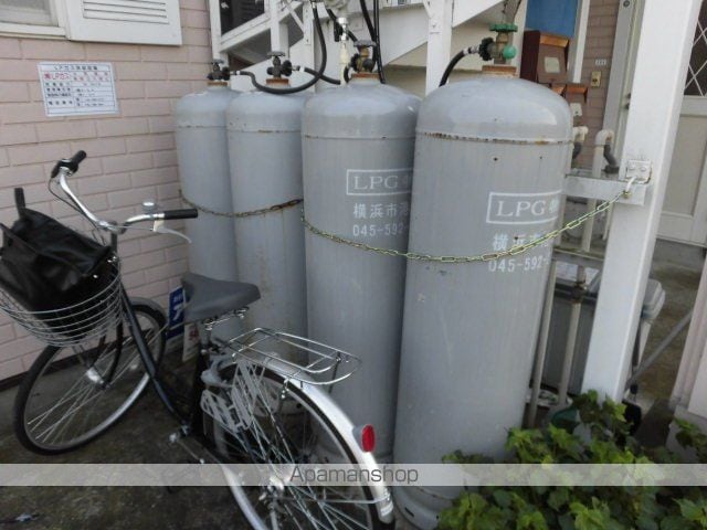 ディステラのその他写真