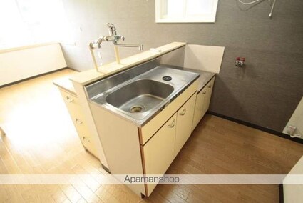 プチメゾン文京台[1R/21.45m2]のキッチン