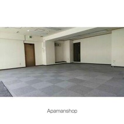 ルミエール芳野[1R/63.24m2]のその他内装