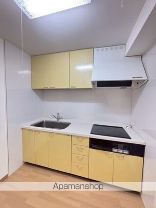 ライオンズマンション聖蹟桜ヶ丘第２[1R/53.15m2]のキッチン