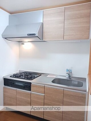 ハオスエーデルワイス　Ⅱ[1LDK/44.82m2]のキッチン