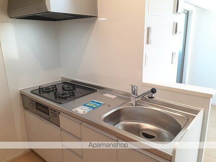 カーサ・エスペランサ[1LDK/41.97m2]のキッチン