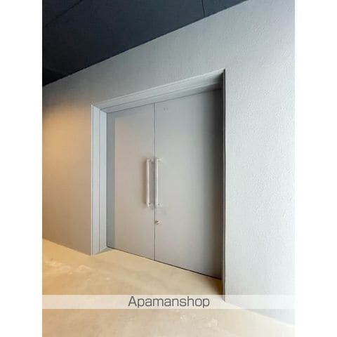 SーRESIDENCE難波大国町DOMINAのその他写真