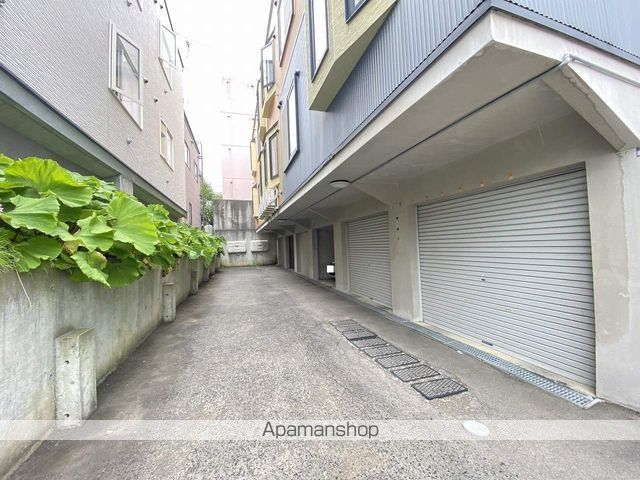 CYMBIDIUMのその他写真