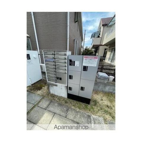 ニシオギソウのその他写真