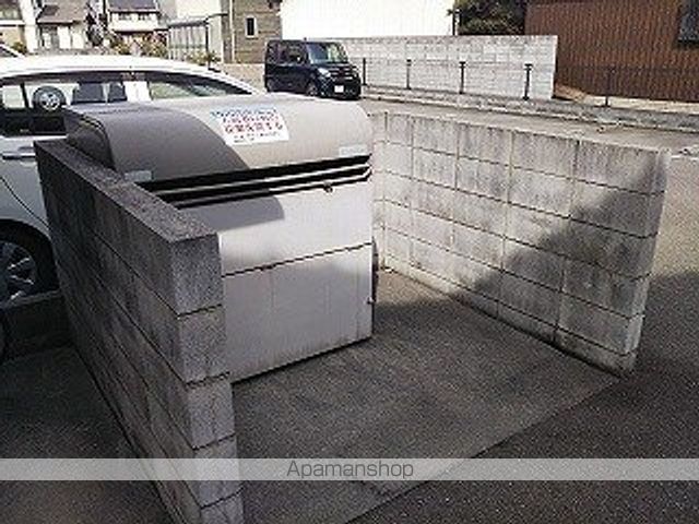 レオネクストスィートストロベリのその他写真