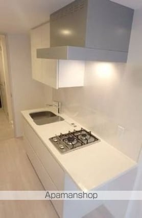 ザ・パークハビオ新宿[1R/25.12m2]のキッチン