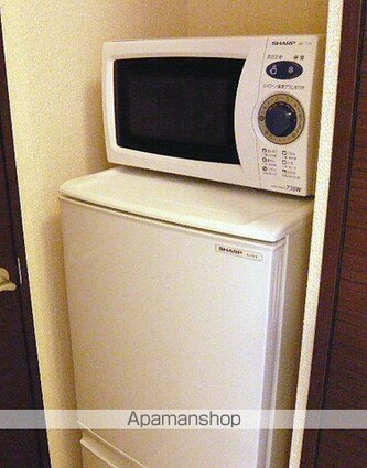 レオネクストライクヒストリー[1K/26m2]のその他部屋・スペース4