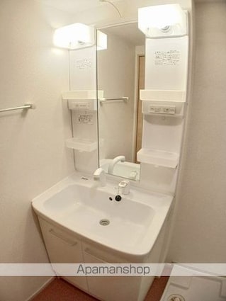 アヴニール・セカンド[1SLDK/68.63m2]の洗面所