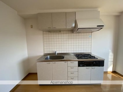 グリーンヒルズ片山[2LDK/56.7m2]のキッチン