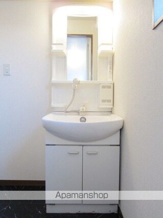 長野県長野市桜新町[2DK/43.54m2]の洗面所