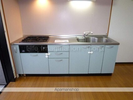 グリーンビュー[2DK/45.72m2]のキッチン