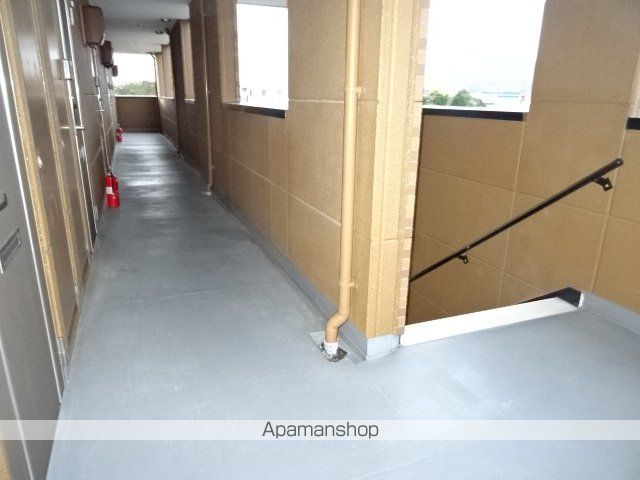 ドリームメジャーのその他写真