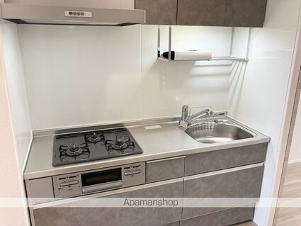 グランドメゾン城ケ丘[1K/30.03m2]のキッチン