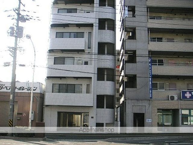 カーサエルフ