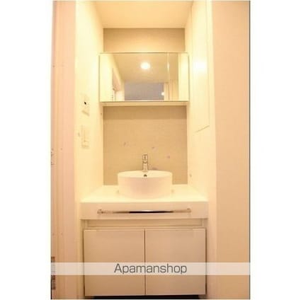 パークフラッツ中目黒[1R/26.16m2]の洗面所