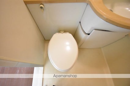 ライオンズマンション上杉二丁目[1R/24.7m2]のトイレ