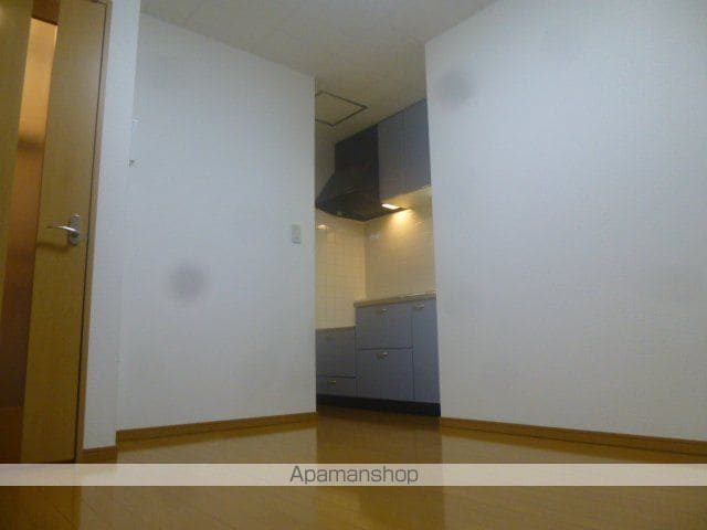 メゾンドゥルイースの内装写真