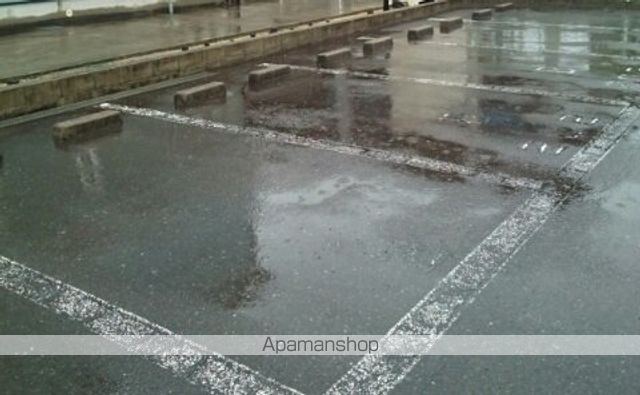 ALTAIRのその他写真