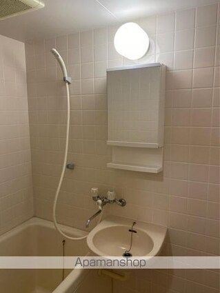 セイントグレース[1R/27.07m2]の洗面所