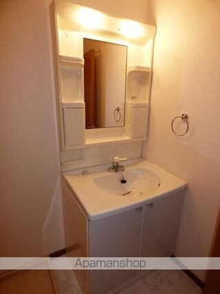 アミスター[2DK/53.44m2]の洗面所