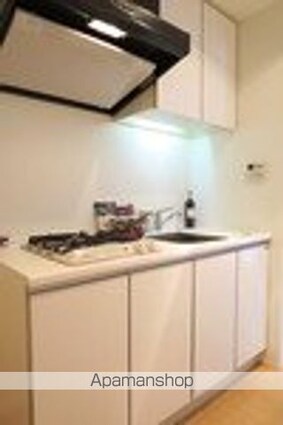 レニール本駒込[1LDK/40.2m2]のキッチン2