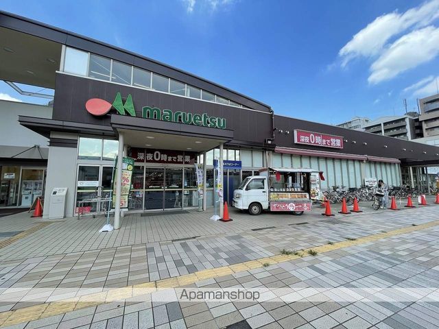 アムールトミーパレスIIIの周辺写真